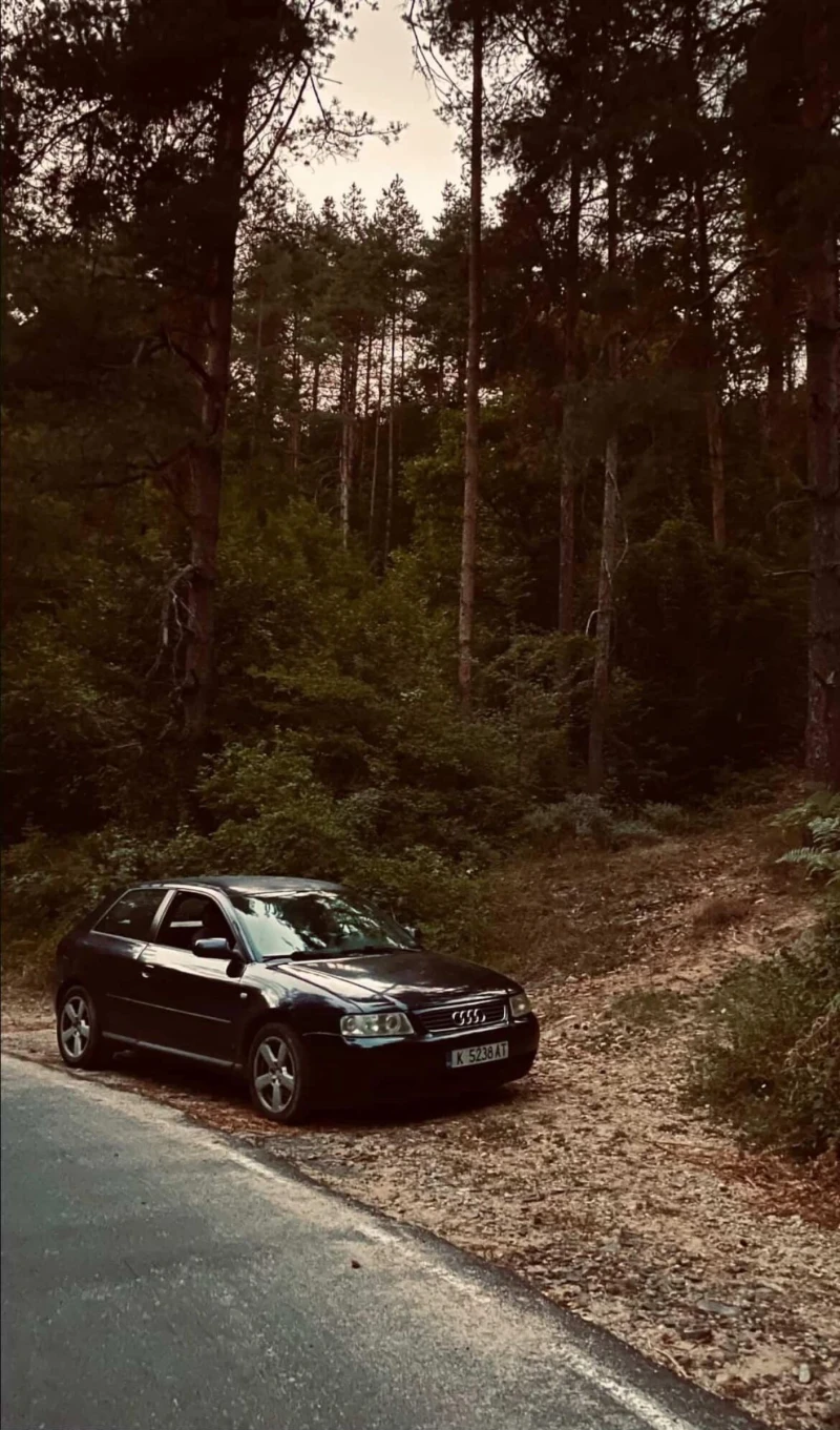 Audi A3 1.9TDI 110HP, снимка 3 - Автомобили и джипове - 53369175