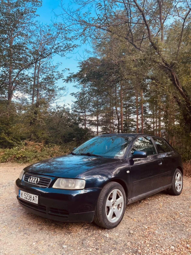 Audi A3 1.9TDI 110HP, снимка 2 - Автомобили и джипове - 53369175
