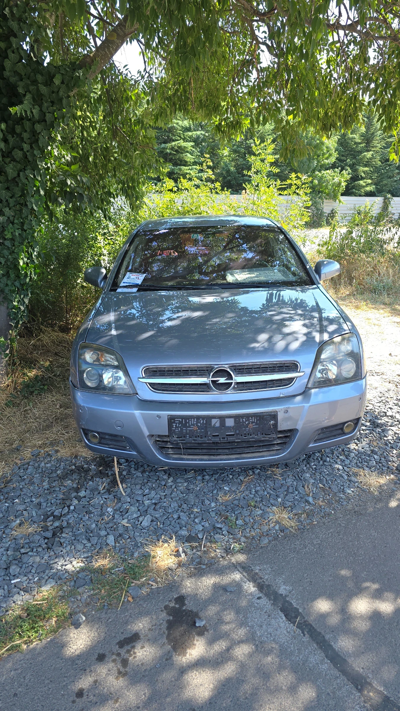 Opel Signum 2.2 Benzin , снимка 2 - Автомобили и джипове - 55878097