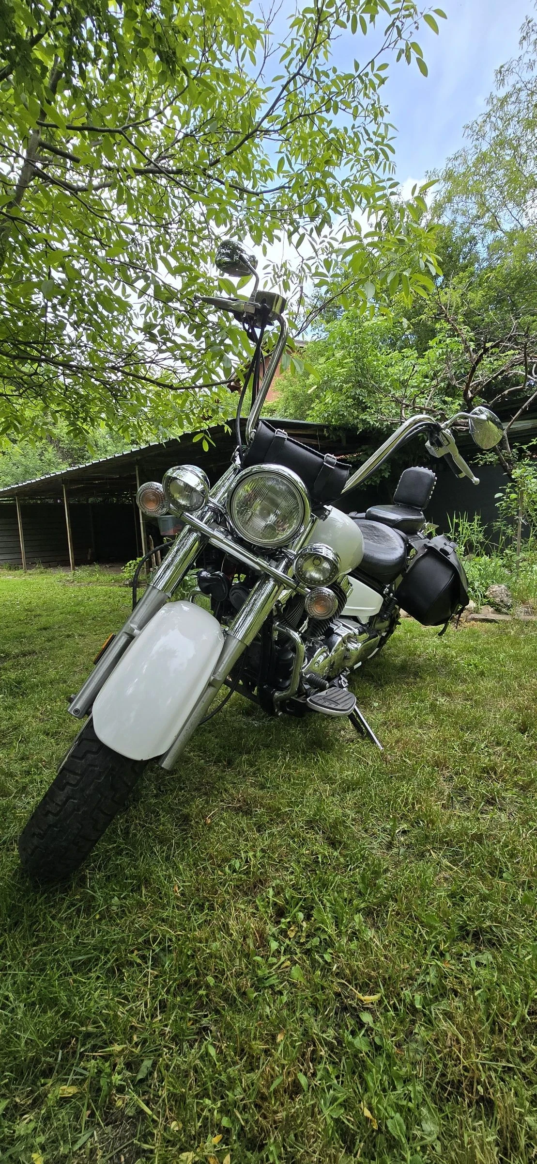 Yamaha V-Star 650cc  става за А2, снимка 3 - Мотоциклети и мототехника - 54573321