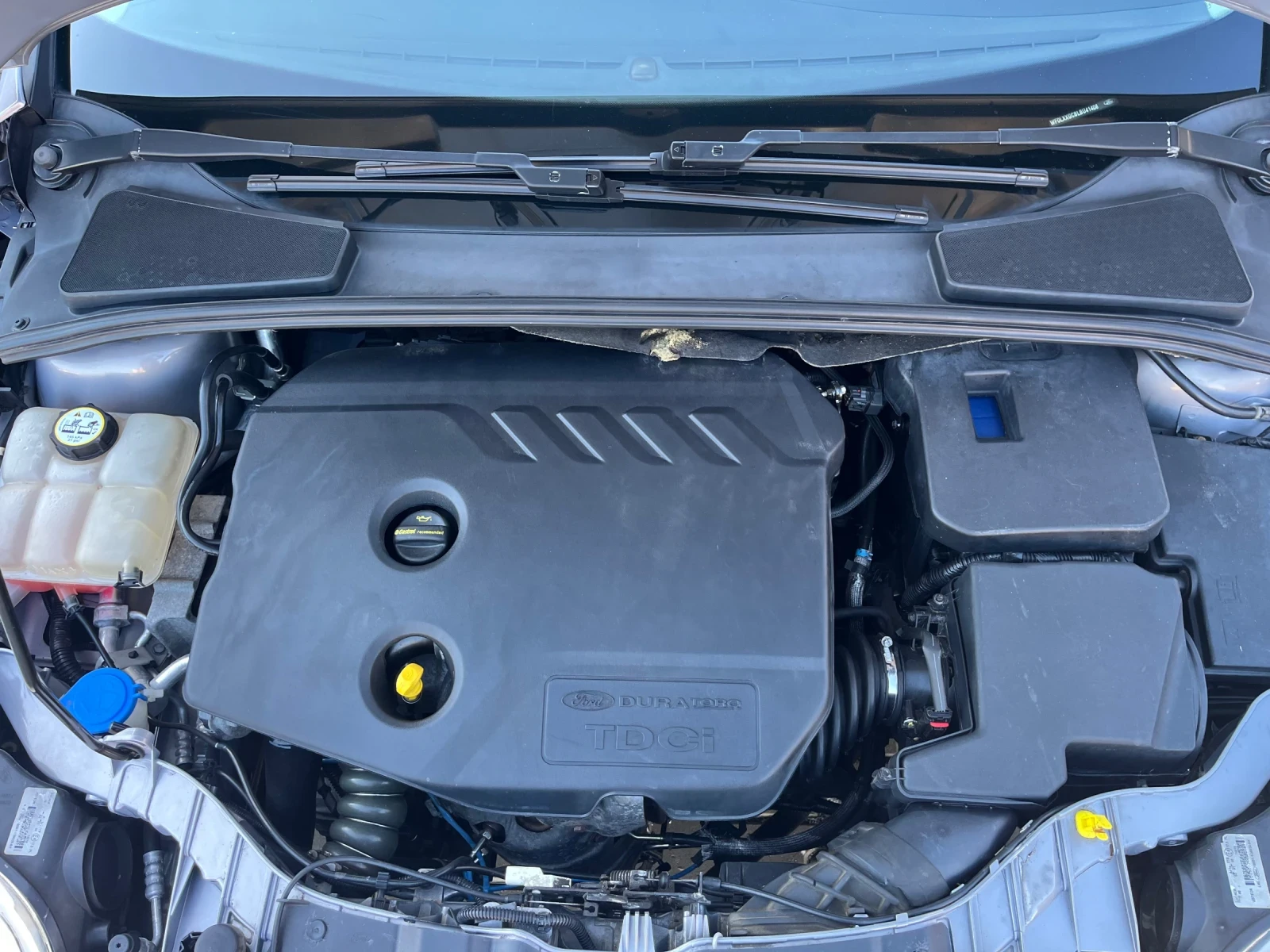 Ford Focus 1.6 TDCi Отличен!, снимка 13 - Автомобили и джипове - 53740931