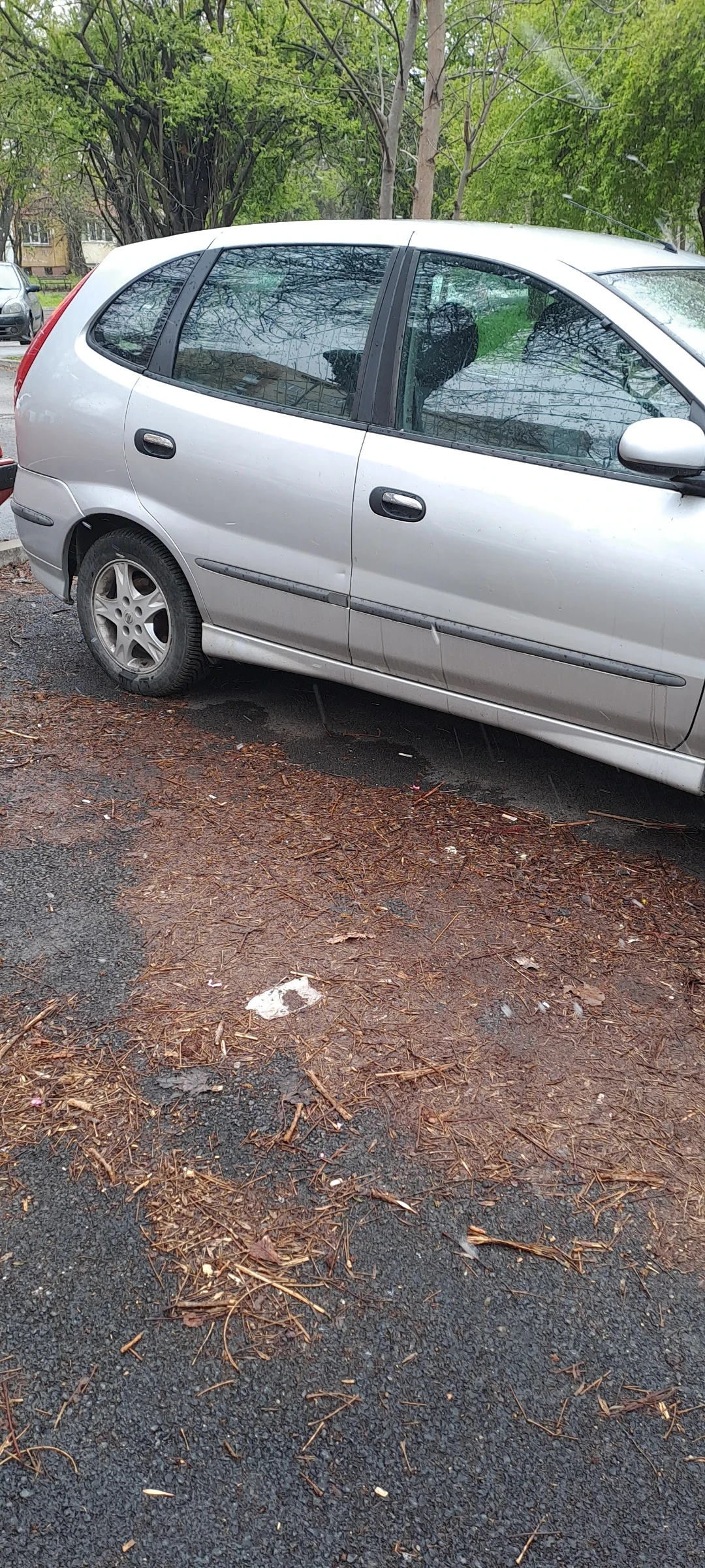 Nissan Almera tino  - изображение 3