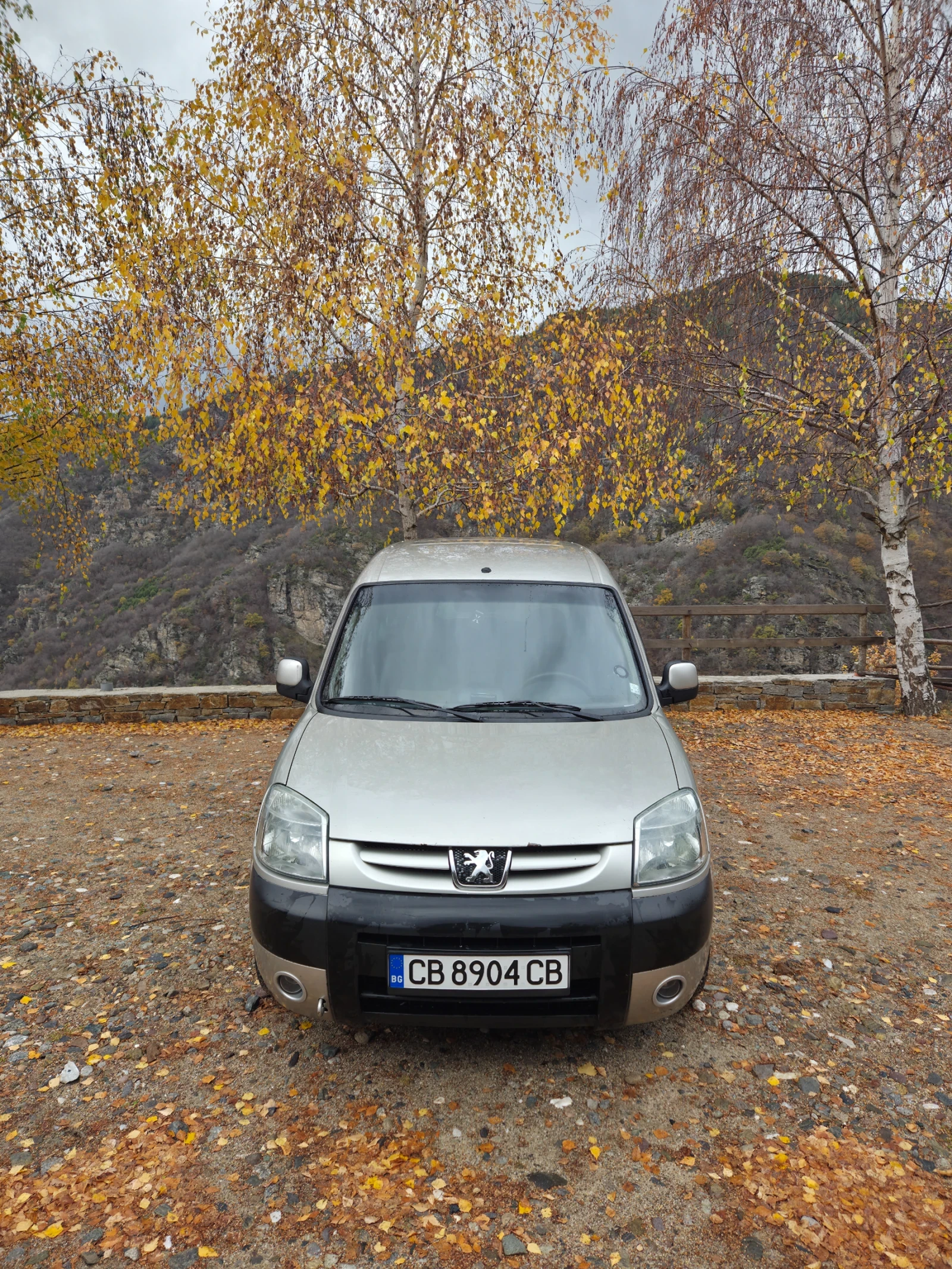 Peugeot Partner 1.6HDI | Mobile.bg   3