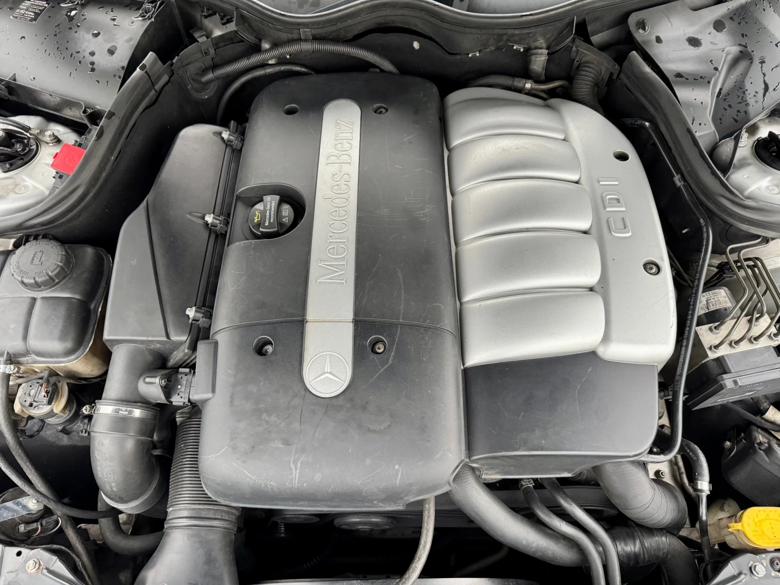 Mercedes-Benz CLK 270CDI | Mobile.bg   11