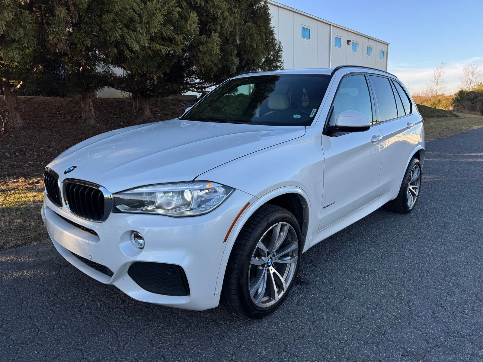 BMW X5, снимка 1