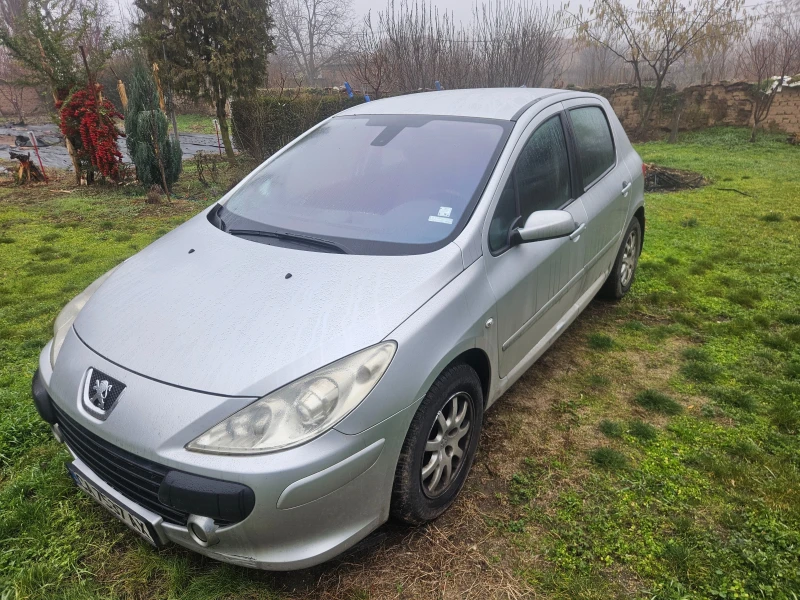 Peugeot 307 1.6 HDI, снимка 2 - Автомобили и джипове - 53316746