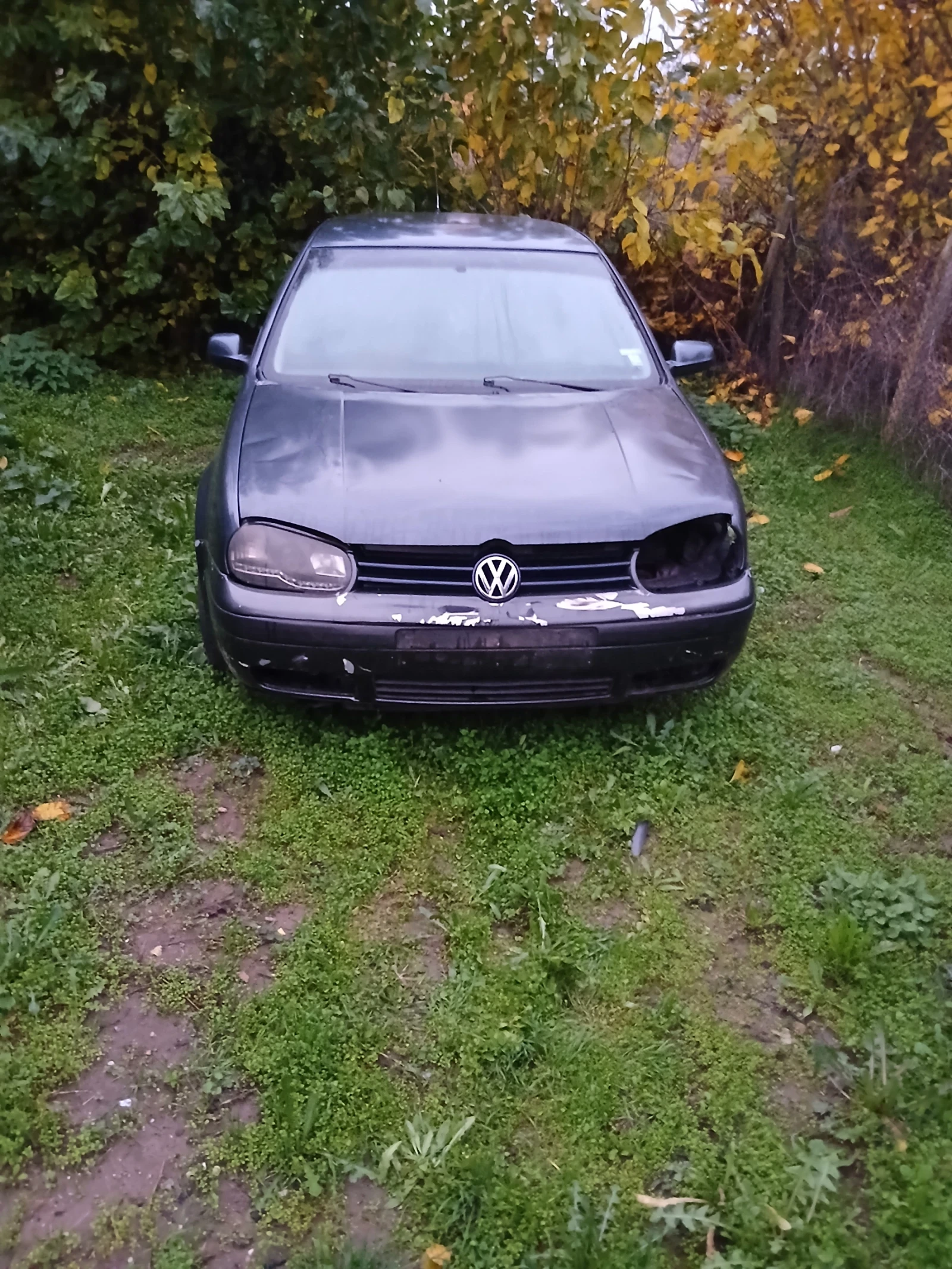 VW Golf, снимка 1
