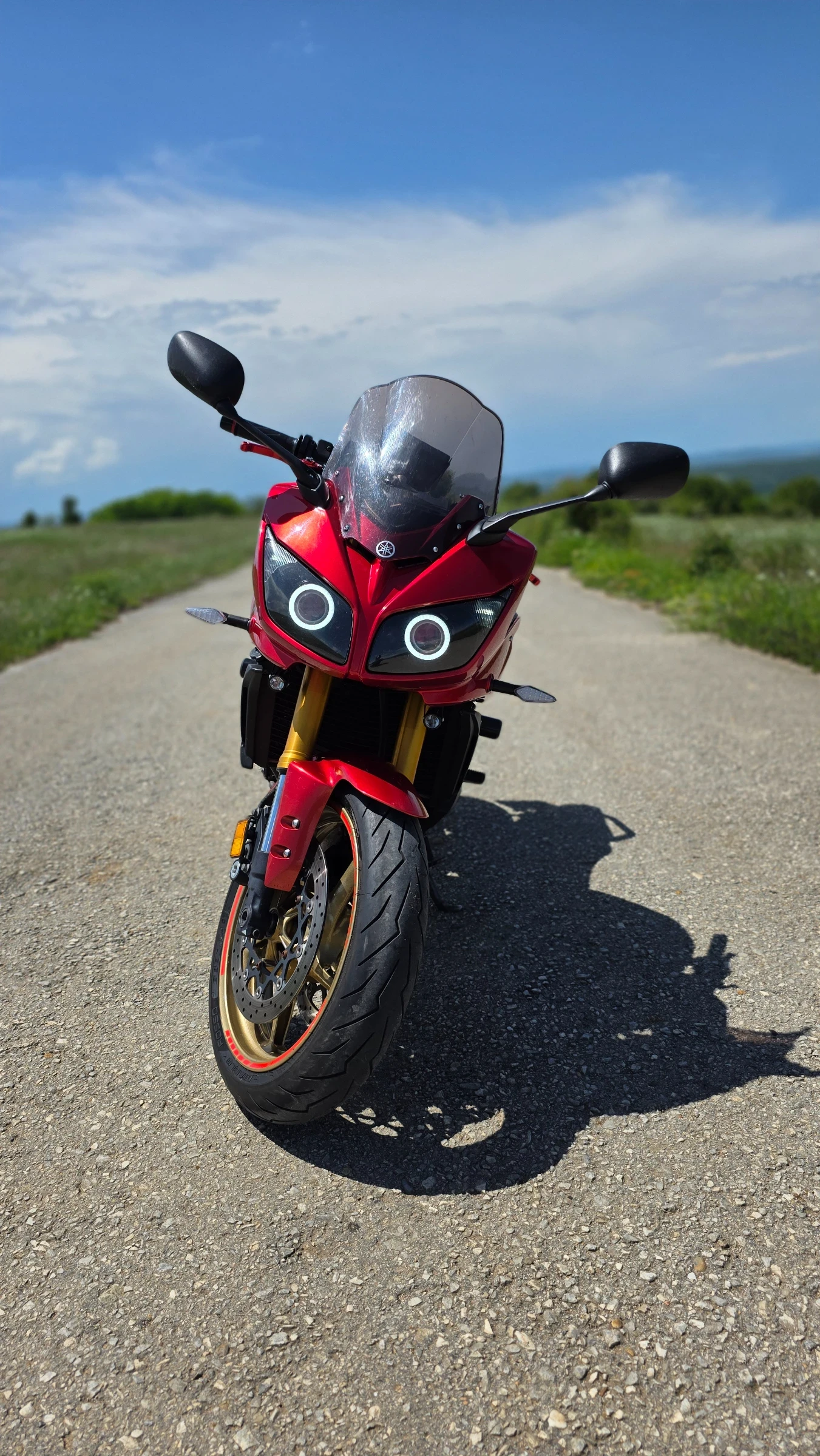 Yamaha FZ1 Турър - изображение 2