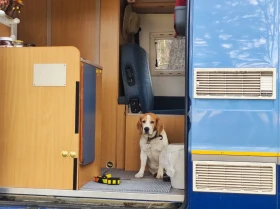Кемпер Peugeot, снимка 14