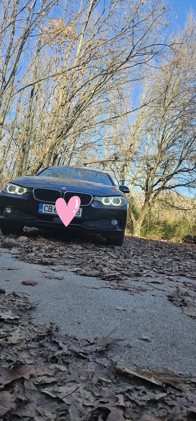 BMW 320 Efficient Dynamic, снимка 3 - Автомобили и джипове - 52473184