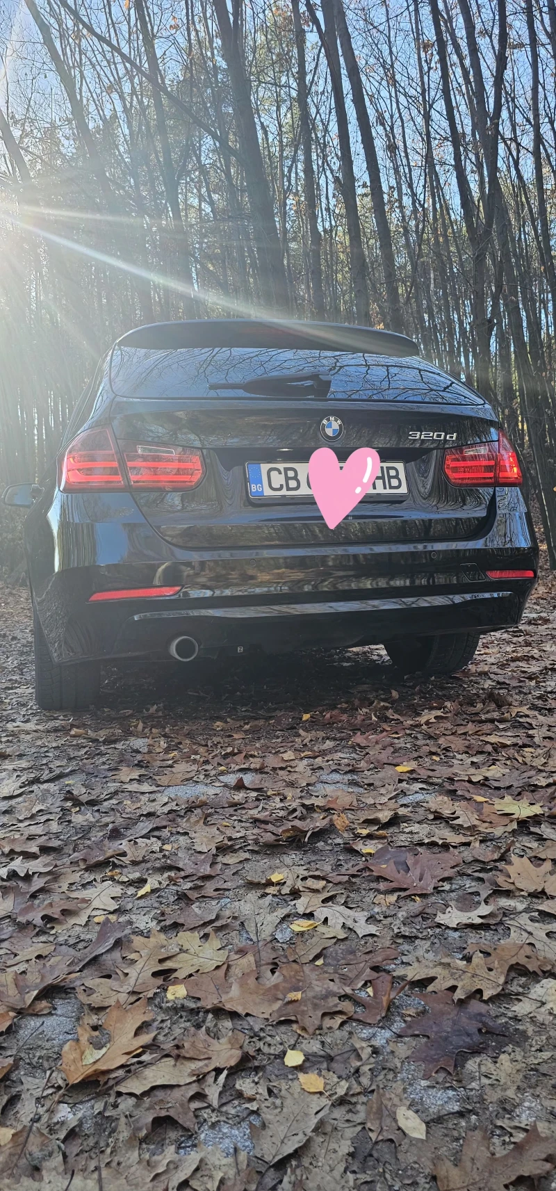 BMW 320 Efficient Dynamic, снимка 6 - Автомобили и джипове - 52473184