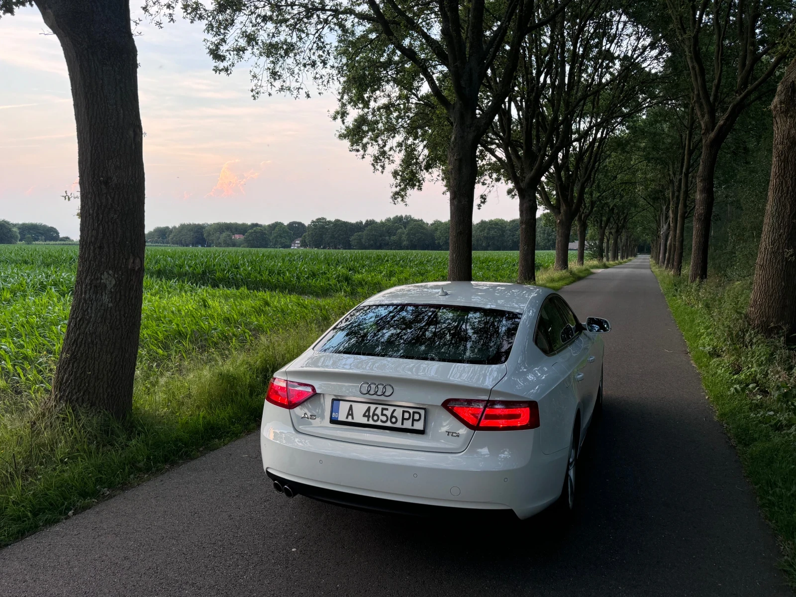 Audi A5 2.0 tdi 177 sportback, снимка 5 - Автомобили и джипове - 55538684