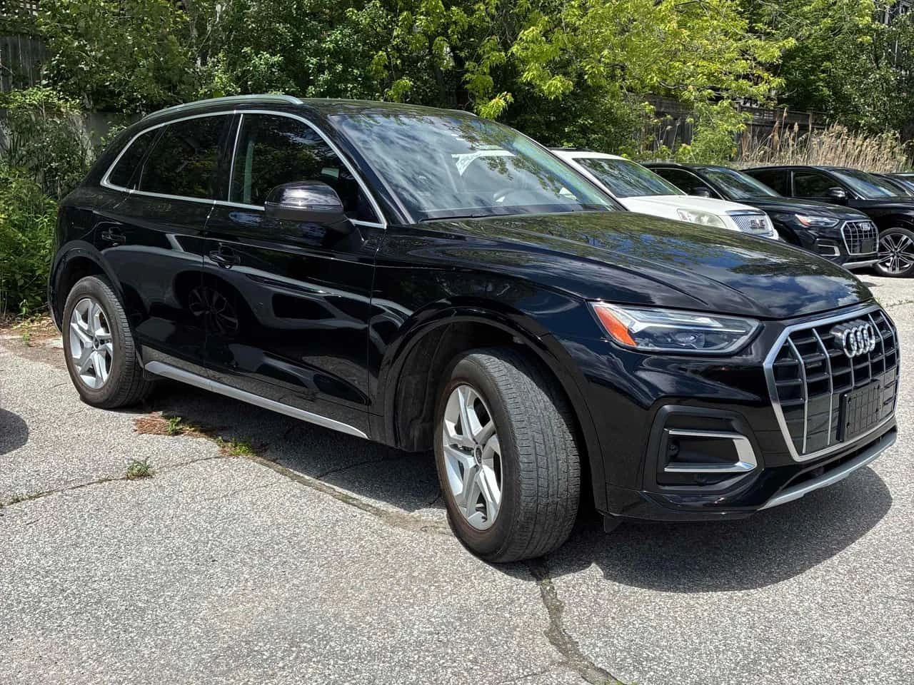 Audi Q5 * Komfort * CARFAX * DISTRONIC * КЛИП НА МОТОРА * , снимка 3 - Автомобили и джипове - 55241120