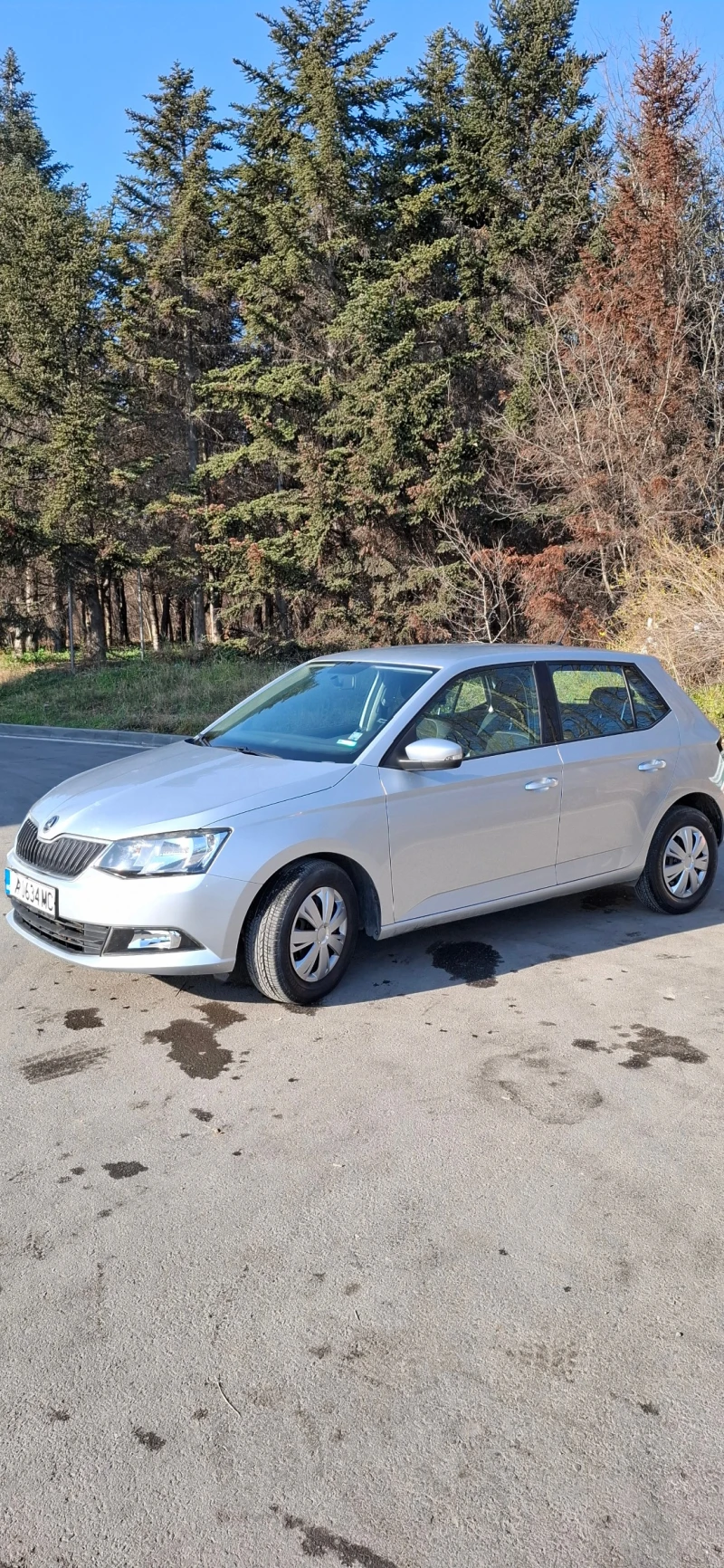 Skoda Fabia, снимка 3 - Автомобили и джипове - 49452060