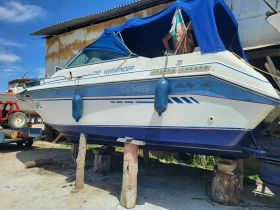 ������� ���� Sea Ray 250 Weekender | Mobile.bg � ����� ������ 8