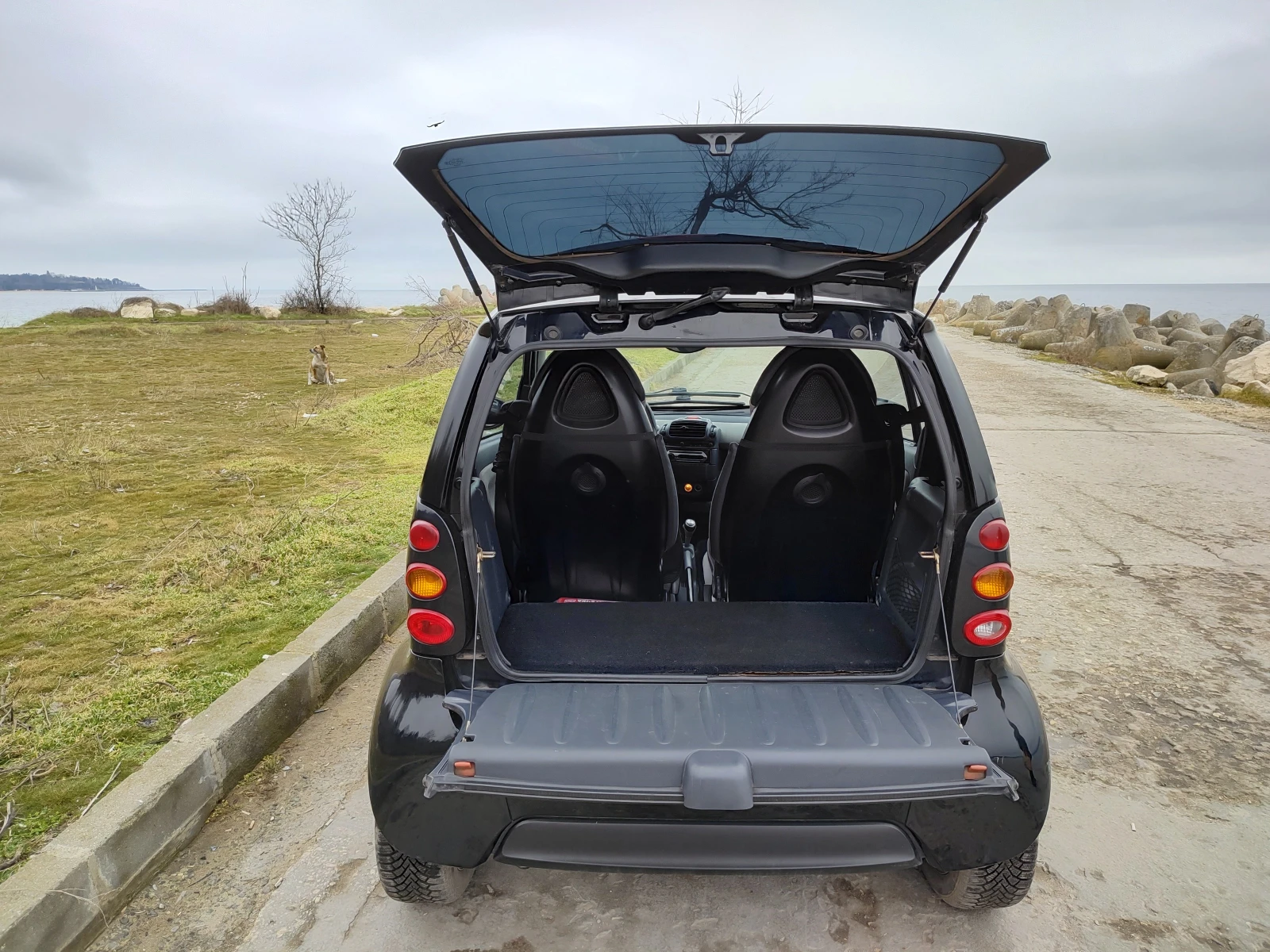 Smart Fortwo | Mobile.bg � ����������� 14