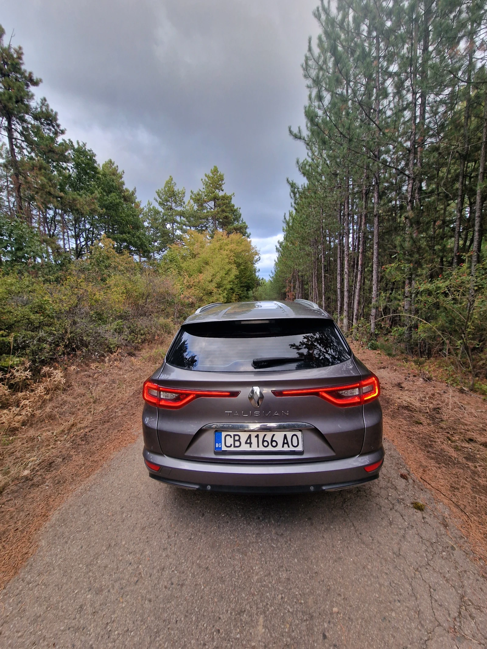 Renault Talisman 1.6 dci, снимка 2 - Автомобили и джипове - 56219520