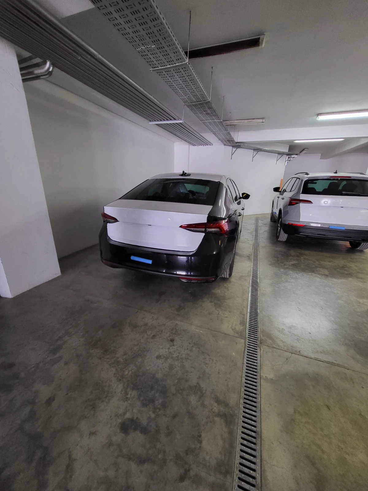 Skoda Octavia Edition 130, гаранция до 2030, снимка 2 - Автомобили и джипове - 54076307