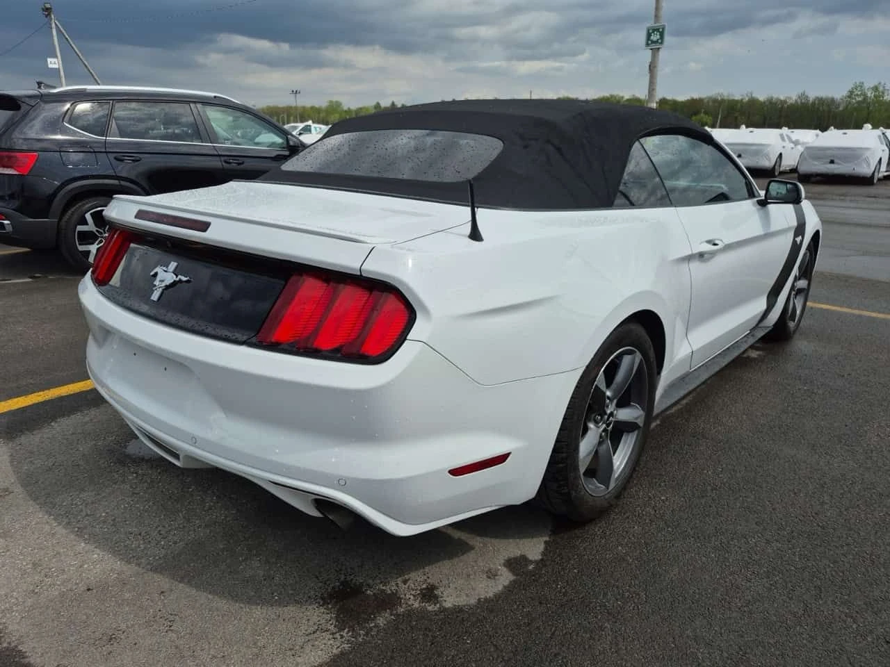 Ford Mustang * V6 * CARFAX * АВТОКРЕДИТ БЕЗ ПЪРВОНАЧАЛНА ВНОСКА, снимка 3 - Автомобили и джипове - 54701636