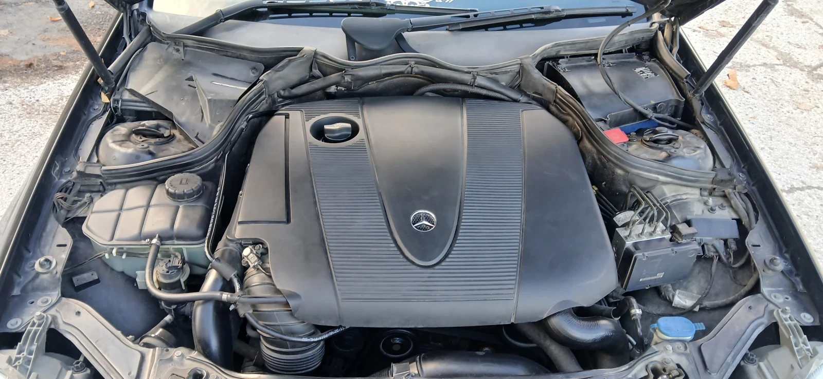 Mercedes-Benz CLK 220 CDI  facelift  avangarde  | Mobile.bg   14