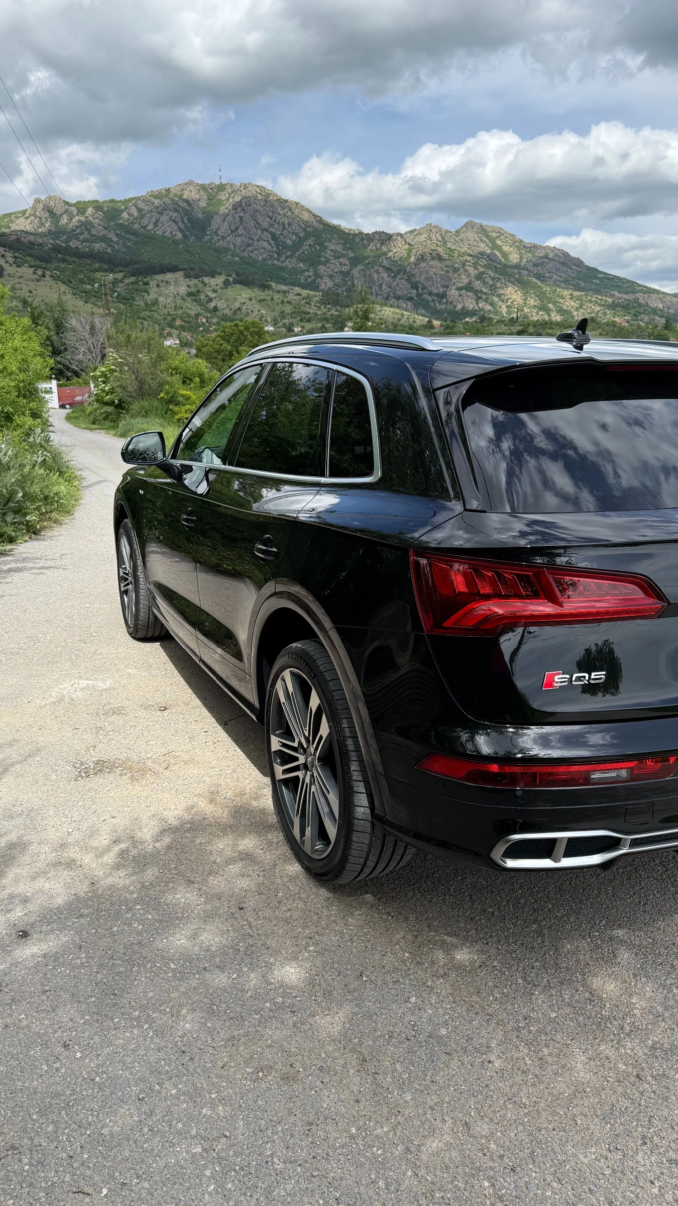 Audi SQ5 3.0TFSI - изображение 6