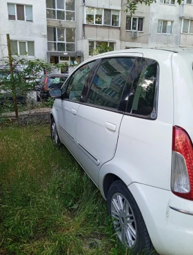 Lancia Musa, снимка 3
