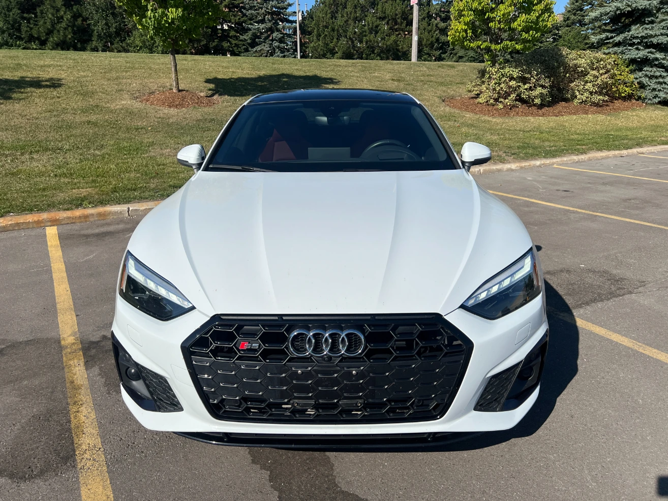 Audi S5 * Sportback* * Technik* * ЦЕНА ДО БЪЛГАРИЯ*  - изображение 5