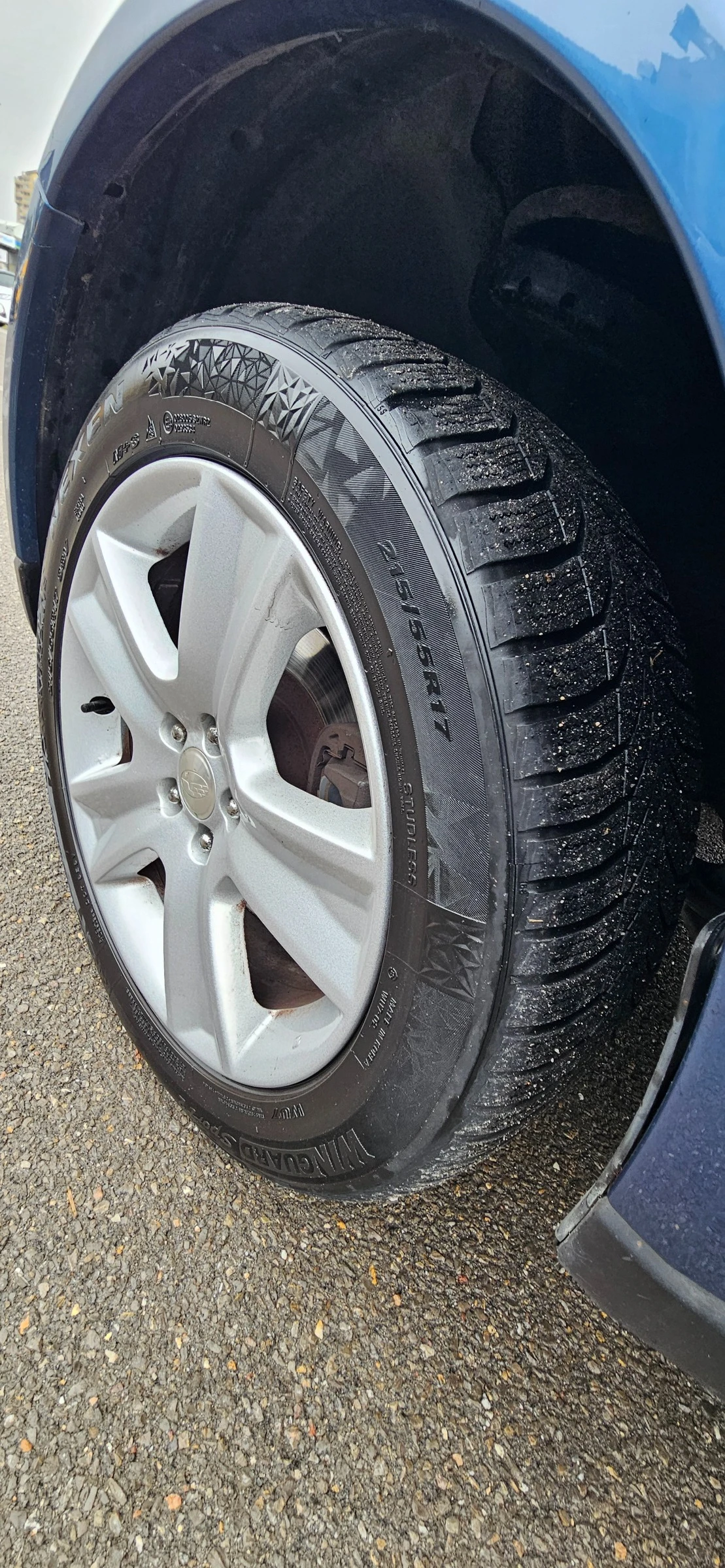 Subaru Outback 2.5 16V FSGP (Bi-Fuel)  | Mobile.bg � ����������� 17