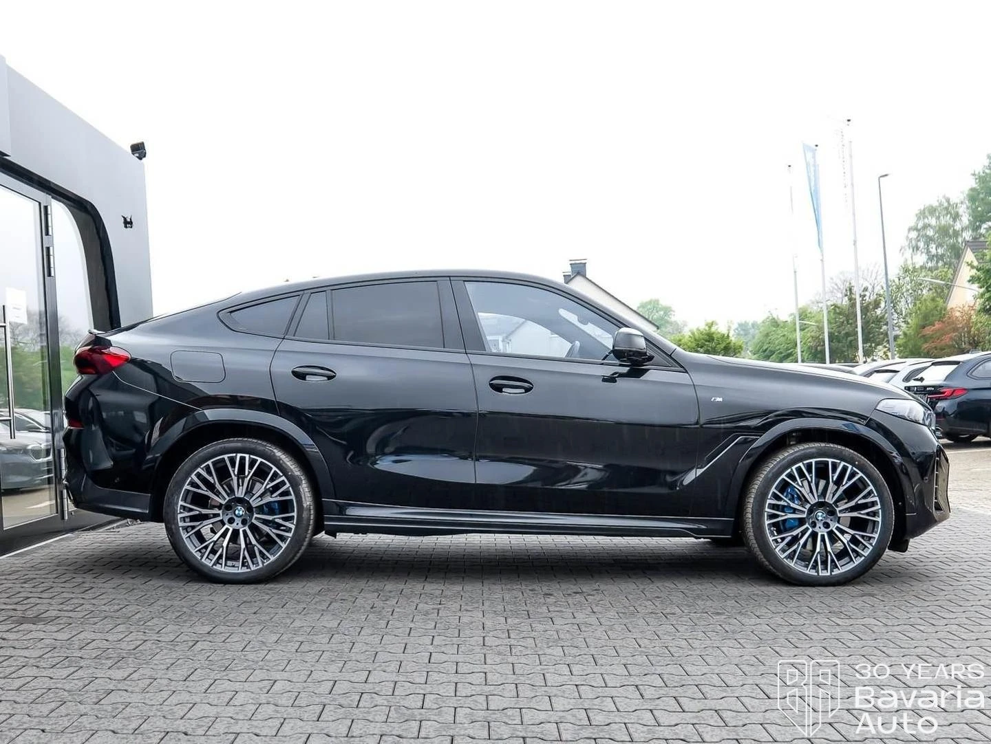 BMW X6 40d xDrive Steptronic "M Sport" | Mobile.bg � ����������� 6