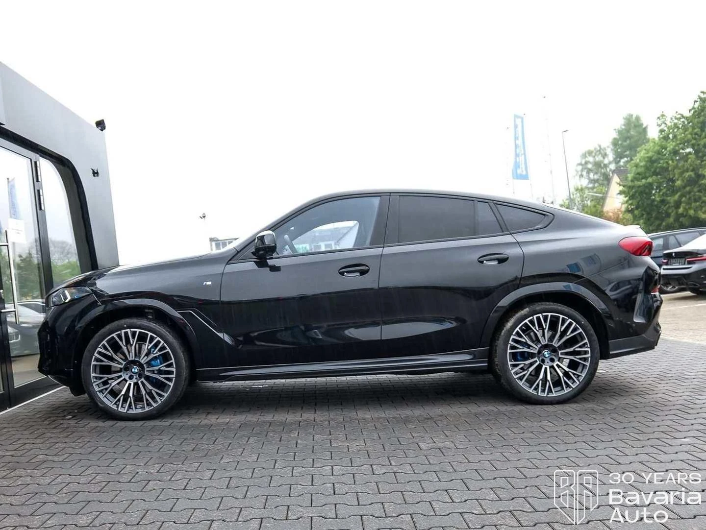 BMW X6 40d xDrive Steptronic "M Sport" | Mobile.bg � ����������� 2