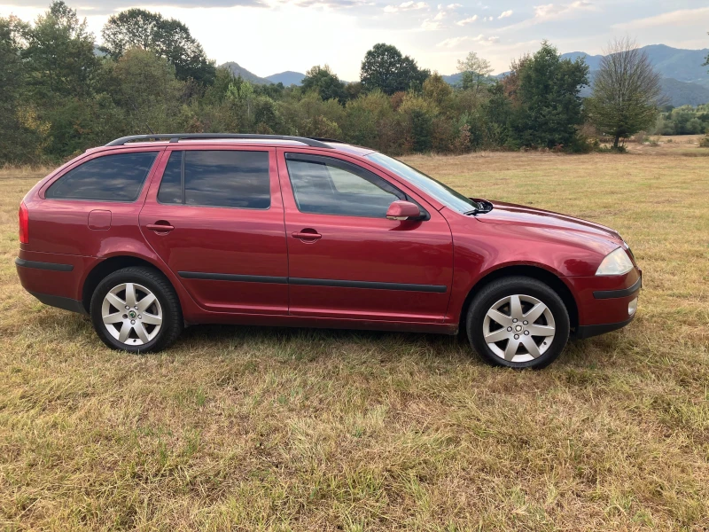 Skoda Octavia 1.9 TDI 4x4, снимка 5 - Автомобили и джипове - 47174514