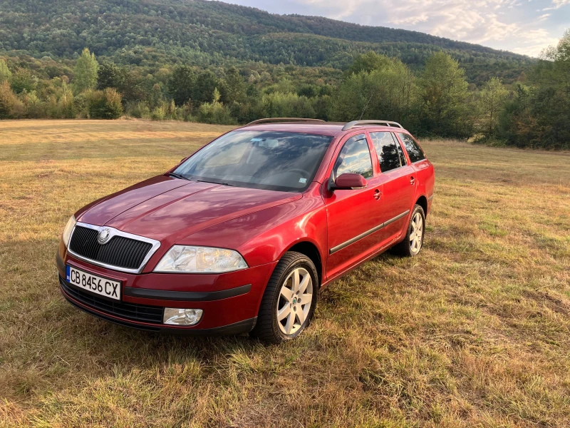 Skoda Octavia 1.9 TDI 4x4, снимка 1 - Автомобили и джипове - 47174514