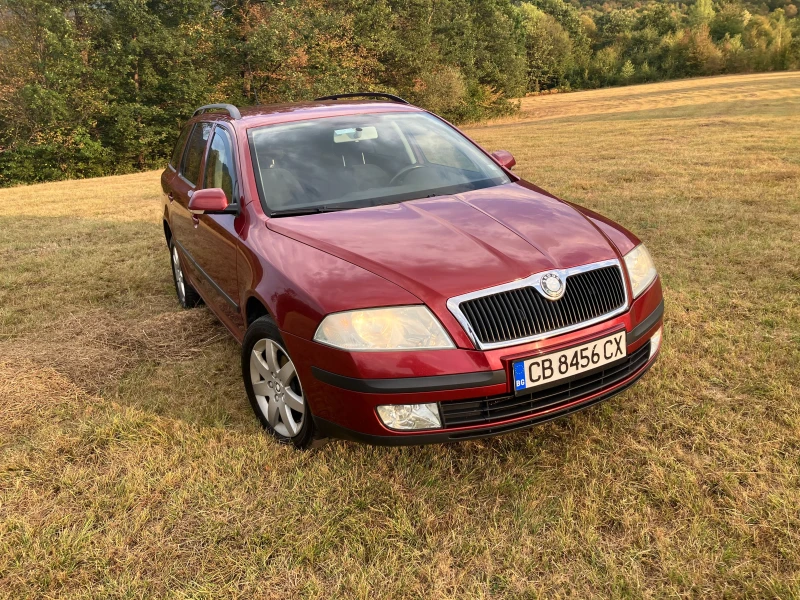 Skoda Octavia 1.9 TDI 4x4, снимка 2 - Автомобили и джипове - 47174514