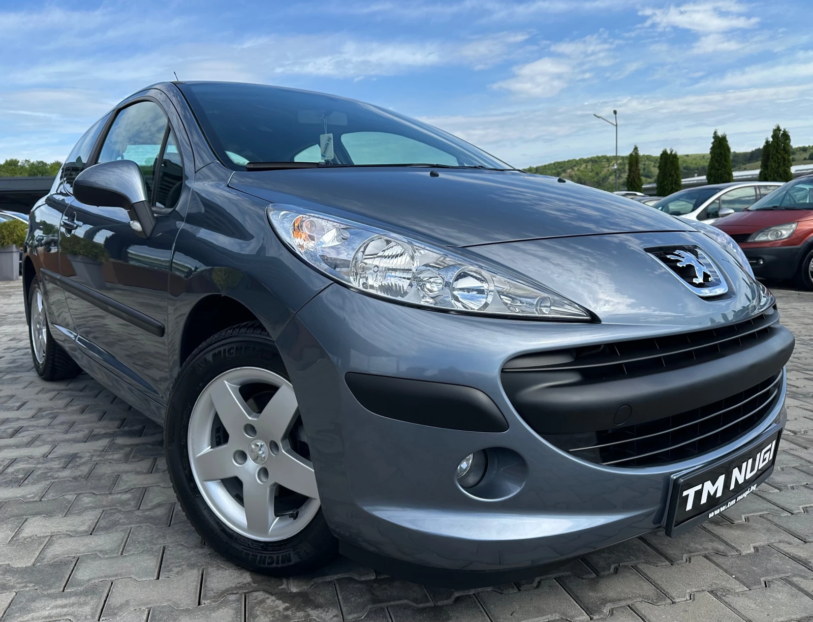 Peugeot 207 1.4HDI - изображение 2