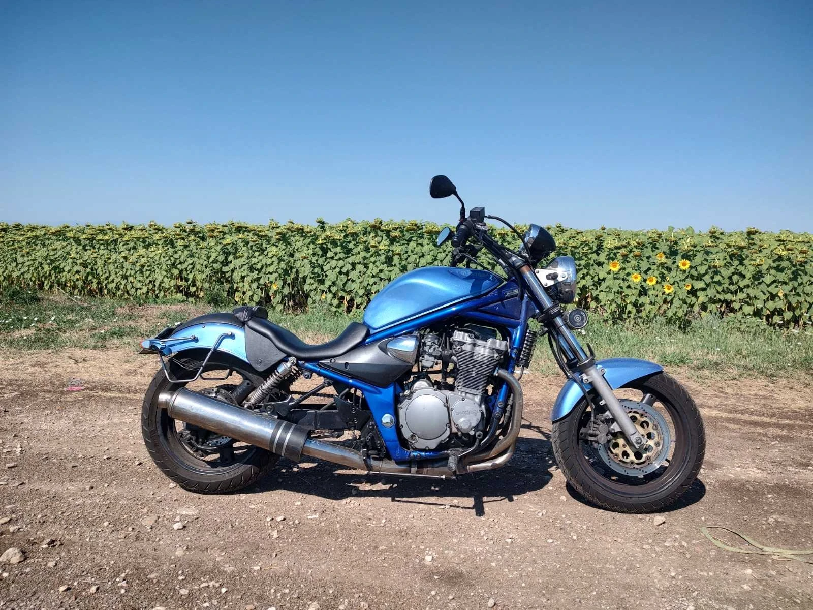 Suzuki Gsf Bandut