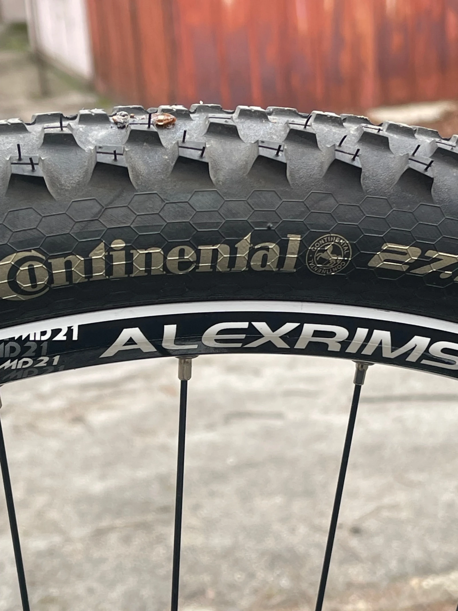 ��������� Canyon | Mobile.bg � ����������� 9