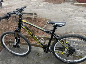 ��������� Canyon | Mobile.bg � ����� ������ 15