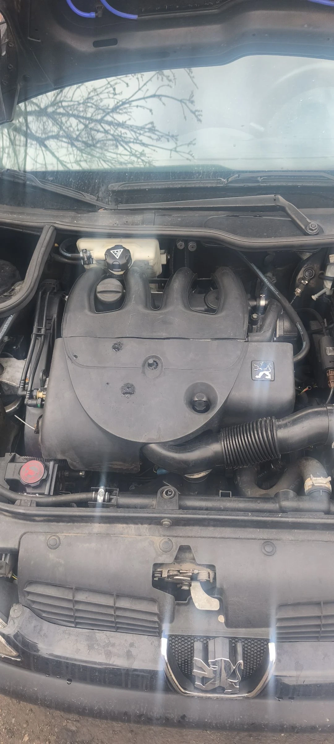 Peugeot 206 1.9D | Mobile.bg � ����������� 10