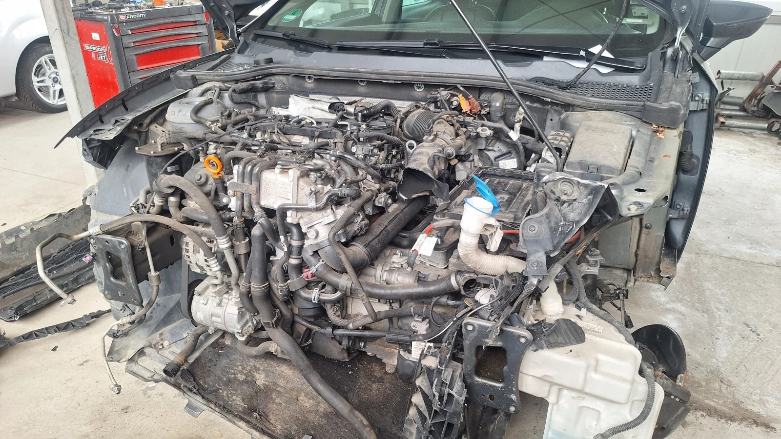 Seat Leon | Mobile.bg � ����������� 12