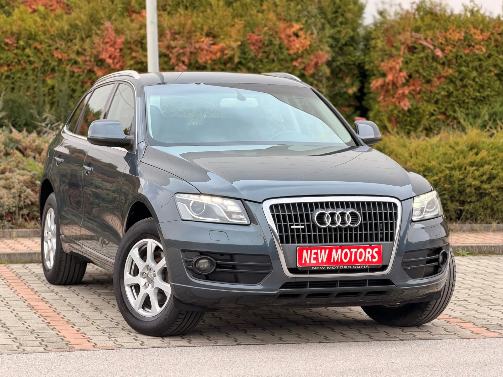 Audi Q5 2.0TDI-Quattro-    365 | Mobile.bg   3