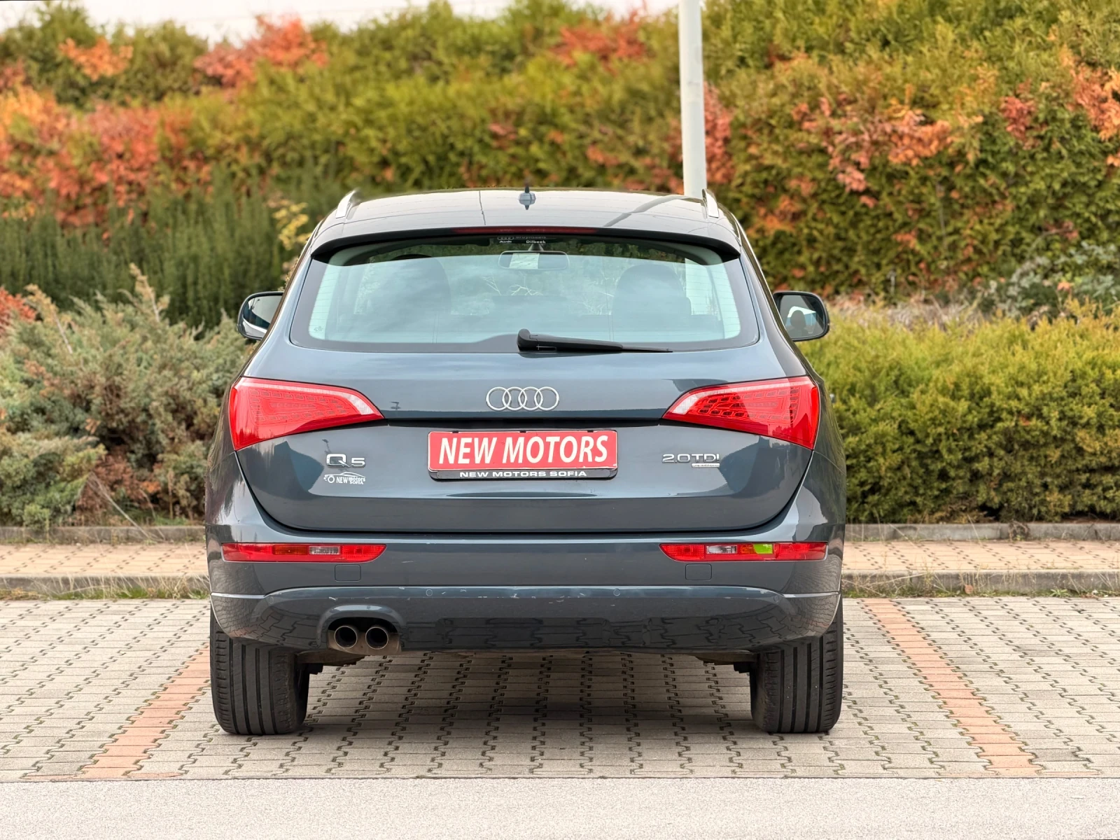 Audi Q5 2.0TDI-Quattro-    365 | Mobile.bg   7