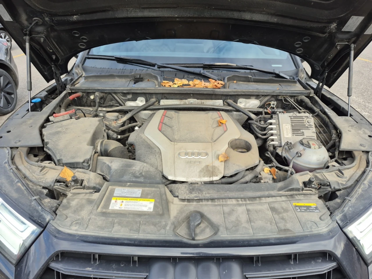 Audi SQ5 *  *    *   *  | Mobile.bg   14