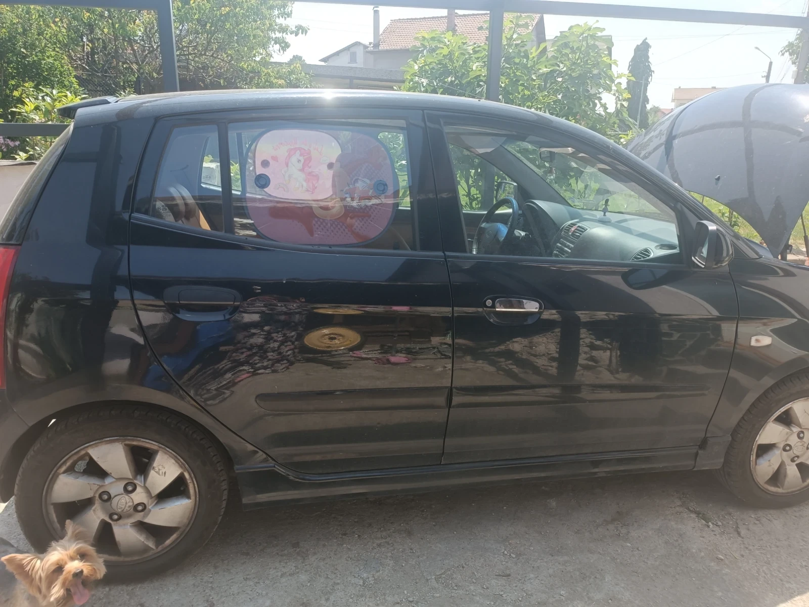 Kia Picanto  - изображение 8
