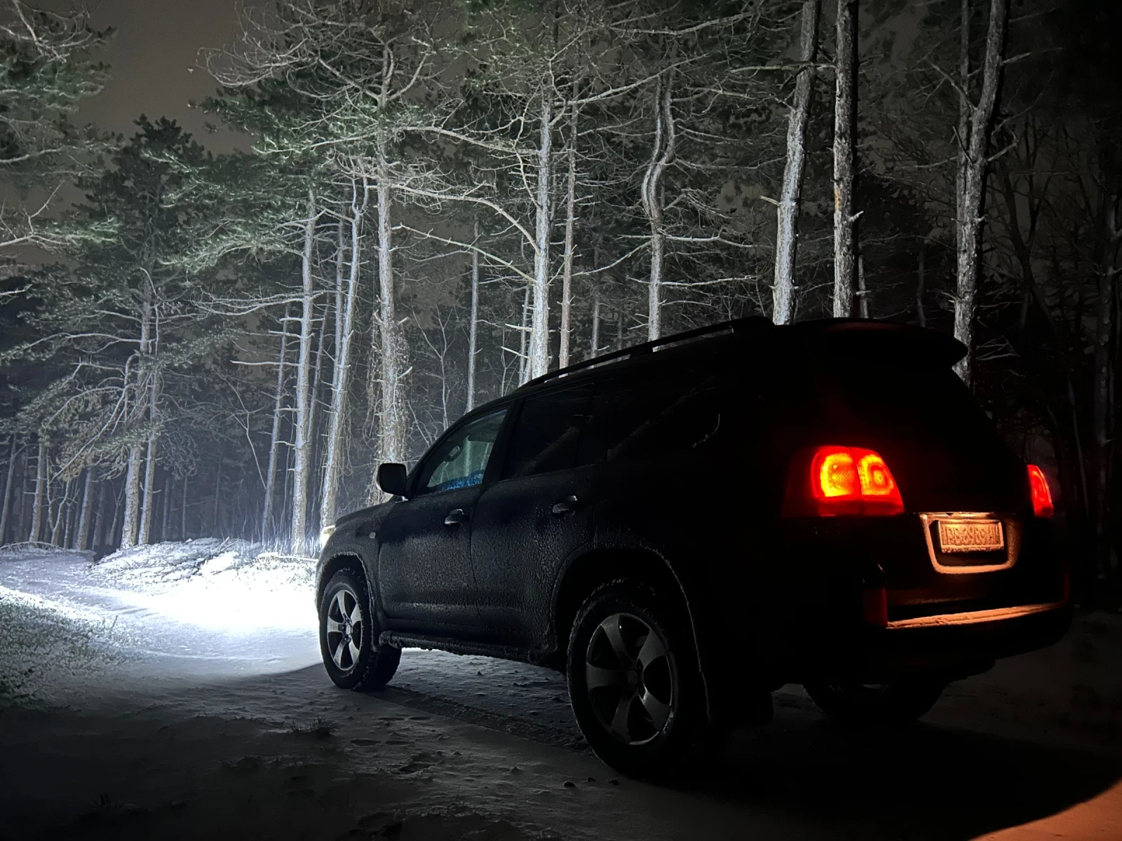 Toyota Land cruiser 200 - изображение 7