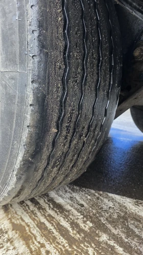 ����������� Schwarzmuller �� ���� � ������������ | Mobile.bg � ����� ������ 5