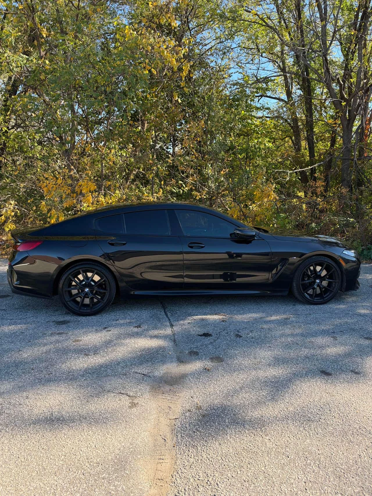 BMW 850 * xDrive * CARFAX * ����� �� ����������� | Mobile.bg � ����������� 3