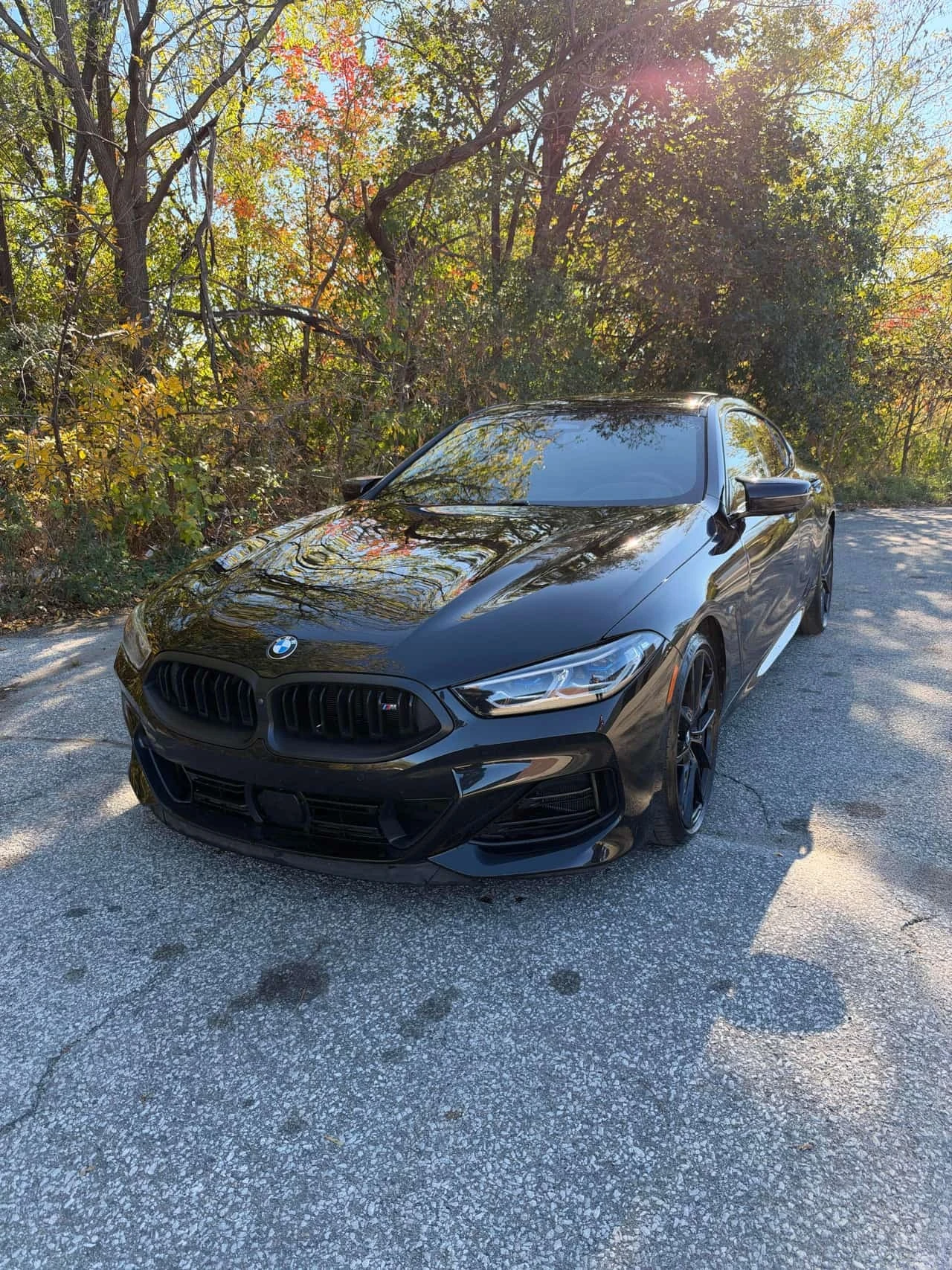 BMW 850 * xDrive * CARFAX * ОПЦИЯ ЗА ФИНАНСИРАНЕ