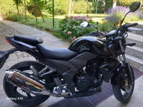 Sym Wolf GTS, снимка 2