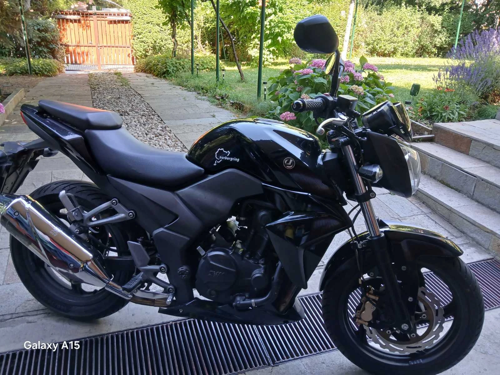 Sym Wolf GTS