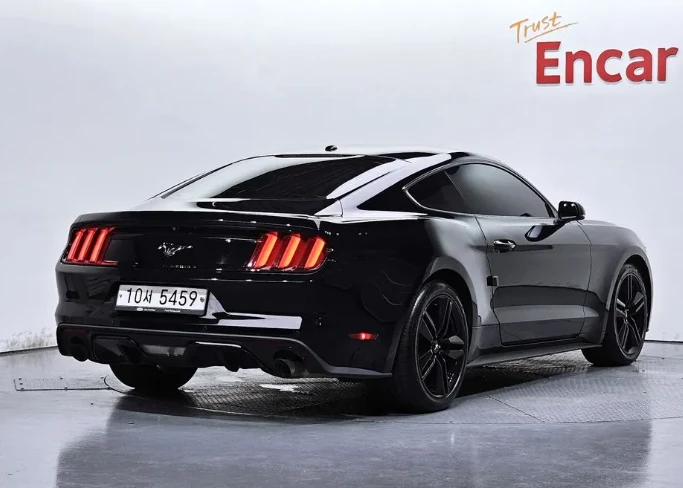 Ford Mustang 3.7 V6 - изображение 2